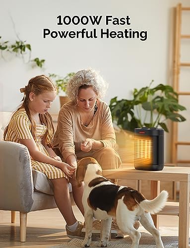 1000W Small Space Heaters for Indoor Use, PTC Ceramic Personal Heater with Overheating & Tip-Over Protection, Quiet Heating for Desktop Office Home