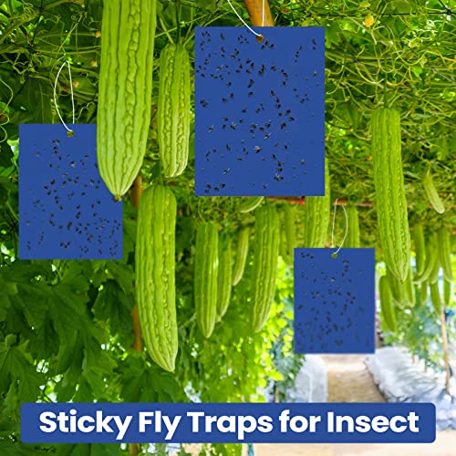 100 Pcs Double Sided Sticky Traps for Flying Plant Insect Like White Flies Aphids 6 x 8 Inch Sticky Gnat Traps Killer Fruit Fly Traps for Indoor Outdoor Including Twist Ties, Blue