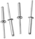 100pcs 3/16" x 1" Aluminum Blind Rivets, Silver, 4.8 x 25.4 mm Pop Rivets