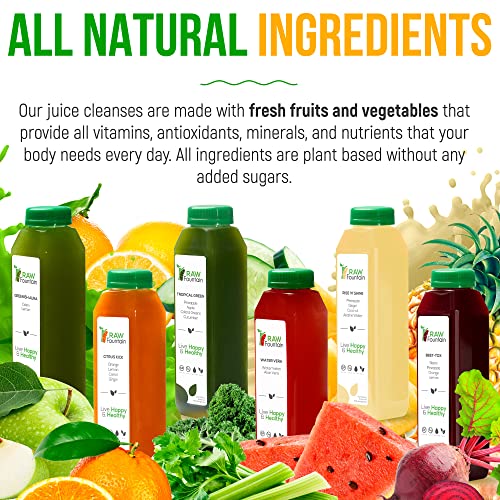 1 Day Juice Cleanse by Raw Fountain, Tropical Flavors, All Natural Raw, Cold Pressed Fruit and Vegetable Juices, Detox Cleanse, 6 Bottles 12oz, 3 Bonus Ginger Shots