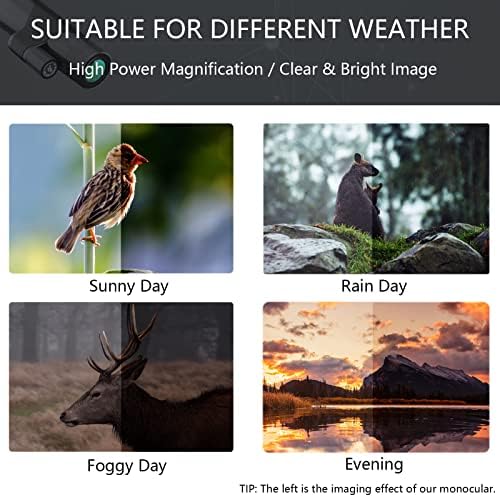 12x Monocular for Adults with Smartphone Adapter/Tripod/Hand Strap, Larger Vision Monoculars Equipped with BAK-4 Prism & FMC Lens for Bird Watching Hunting Sports Hiking Traveling Camping