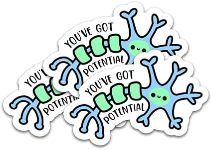 (3pcs)You've Got Potential Cute Neuron Sticker for Phone Case Laptop Tumbler Cars Trucks, Funny Biology Stickers, Kindle Stickers, Book Stickers, Neuro Psychology Decal Decor Gifts (Size 3")