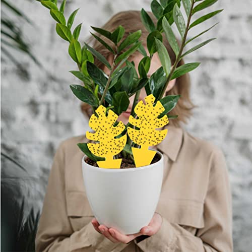 150 Pcs Yellow Sticky Trap for Indoor Gnats Dual Sided by Grow Margo - Fruit Fly Traps for Indoors - Plant Sticky Traps for Gnats - Plant Gnat Stix - Plant Fly Sticky Trap Sticks (5 Packs (150 pcs))