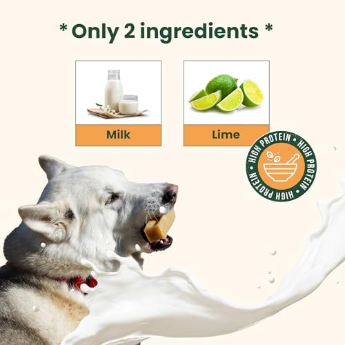 100% Natural Himalayan Yak Cheese for Dogs - XLarge (Pack of 1) - Sourced from Pristine Himalayan Foothill, Rawhide-Free, NO preservatives