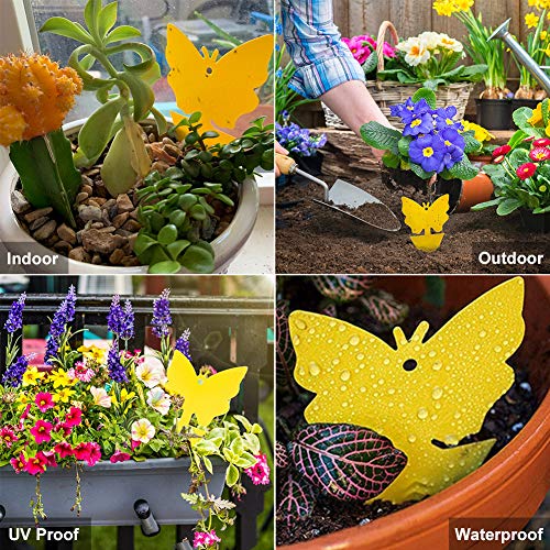 100 Pack Yellow Sticky Traps, Fruit Fly Fungus Gnat Trap for Indoor/Outdoor Use, Houseplant Sticky Bug Insect Catcher Glue Trappers